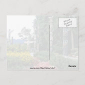 バンクーバー花ピンクスタンレーパーク ポストカード (裏面)