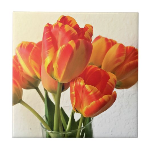 バンジャルカチューリップス タイル (正面)