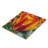 バンジャルカチューリップセラミックタイル タイル (側面)