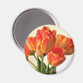 バンジャルカチューリップ マグネット (正面/裏面)