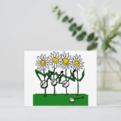 バンジョフラワー ポストカード (スタンド正面)