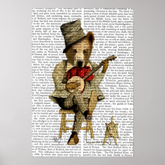 バンジョベア ポスター (正面)