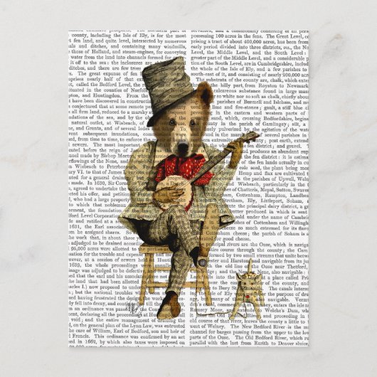 バンジョベア ポストカード (正面)