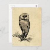 バンセントファンゴッホが正面から眺めるバーンフクロウ ポストカード (正面/裏面)