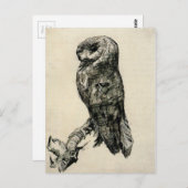 バンセントファン・ゴッホが脇から眺めるバーンフクロウ ポストカード (正面/裏面)
