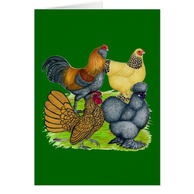 バンタムカルテット (正面)