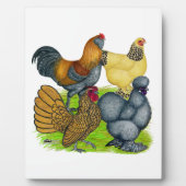 バンタムカルテット フォトプラーク (正面)