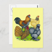 バンタムカルテット ポストカード (正面/裏面)