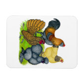 バンタムカルテット マグネット (横)