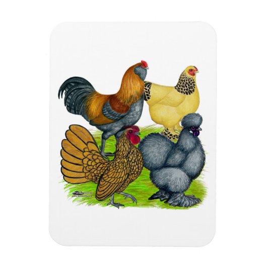 バンタムカルテット マグネット (縦)