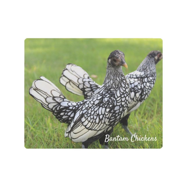 バンタムチキンメタルウォールアートコレクターBLK WHT メタルプリント (正面)