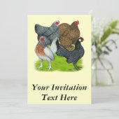 バンタムヘンカルテット 招待状 (スタンド正面)