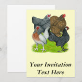 バンタムヘンカルテット 招待状 (正面/裏面)