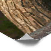 バンタムルースター ポスター (角)