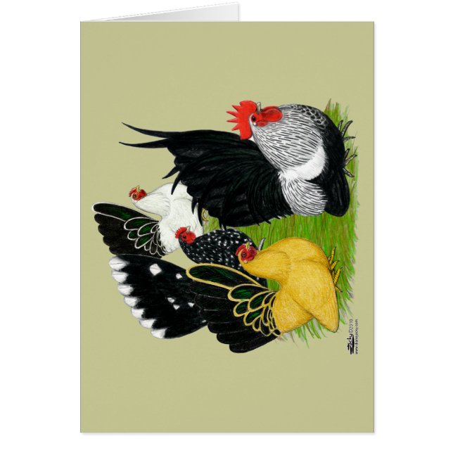 バンタム日本のカルテット (正面)