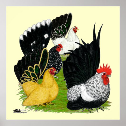 バンタム日本のカルテット ポスター (正面)