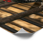 「バンタム&セブライト」ロスター ポスター (角)