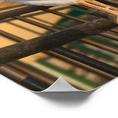 バンタム・ルースター「ドードル・ド」 ポスター (角)