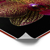 バンダオーキッズポスター ポスター (角)