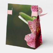 バンダオーキッドクラスタ誕生日テント フェイバーボックス (裏面サイド)