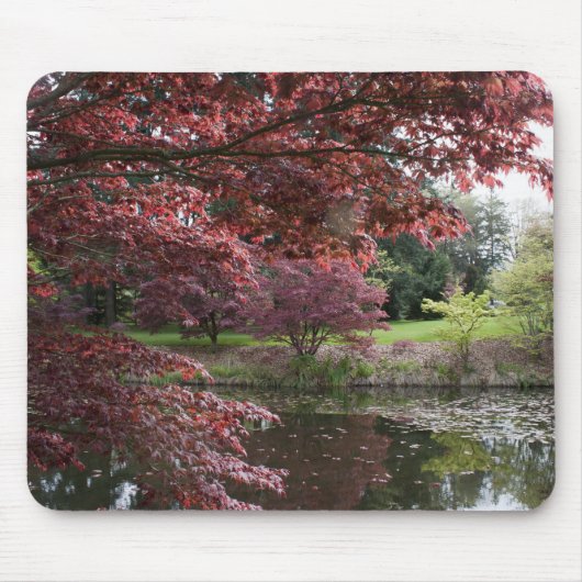 バンダセン植物園のイロハモミジ マウスパッド (正面)