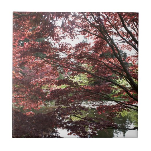 バンダセン ガーデン 紅葉 タイル (正面)