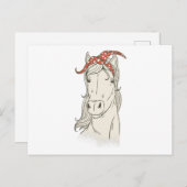 バンダナの馬 ポストカード (正面/裏面)