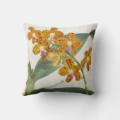 バンダパリシオレンジリンデニアオーキッド クッション (裏面)