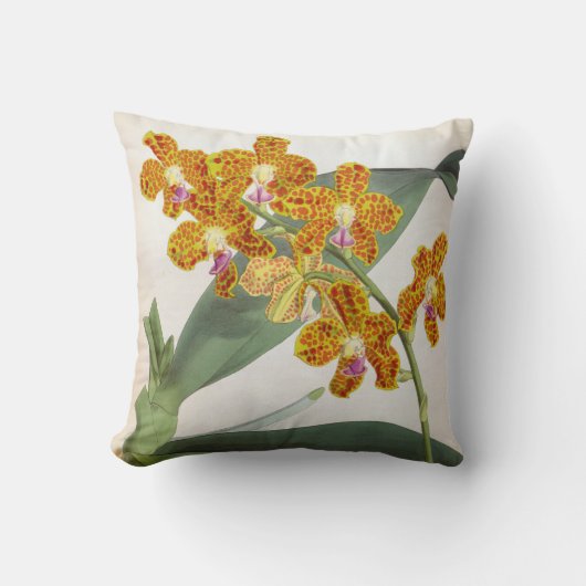 バンダパリシオレンジリンデニアオーキッド クッション (正面)