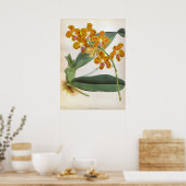 バンダパリシオレンジリンデニアオーキッド ポスター (キッチン)