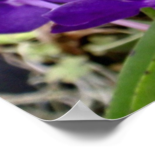 バンダラン ポスター (角)