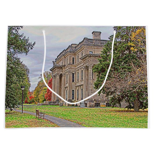 バンダービルトマンション ラージペーパーバッグ (正面)