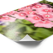 バンチとバンチ フォトプリント            (角)