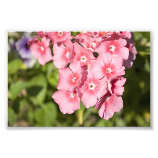 バンチとバンチ フォトプリント            (正面)