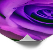 バンチバラ背景バレンタインデーのシンボルl ポスター (角)