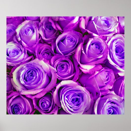 バンチバラ背景バレンタインデーのシンボルl ポスター (正面)