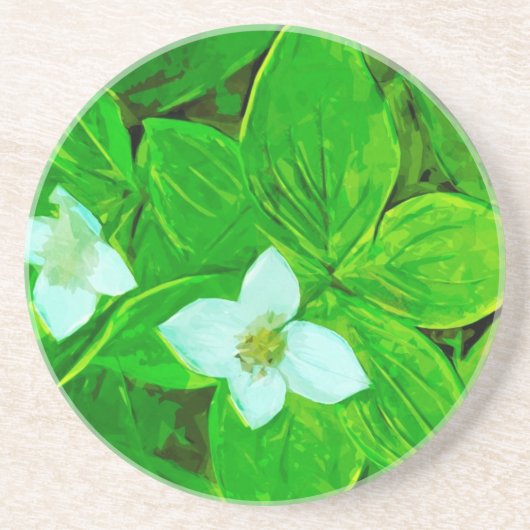 バンチベリーホワイトワイルドフラワー抽象芸術 コースター (正面)