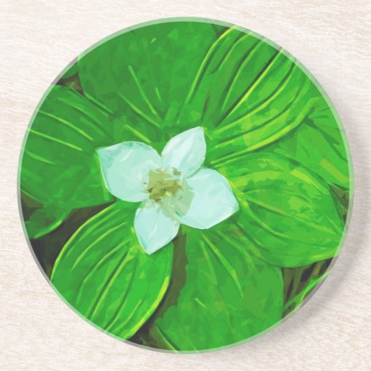 バンチベリー白い野草 コースター (正面)