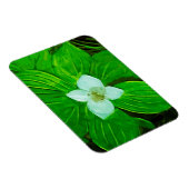 バンチベリー白い野草 マグネット (右側)