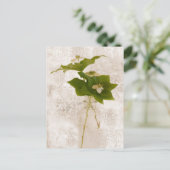 バンチベリー – Wild Dogwoodはがき ポストカード (スタンド正面)