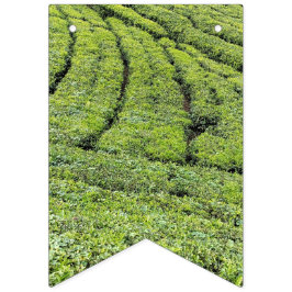 バンティングフラグのムナールの茶園 バンティングフラッグ