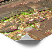 バンテイシュレイテンプルチャンジ ポスター (角)