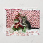 バンディットと雪だるま- Cat / Kitten Chrimas シーズンポストカード (正面/裏面)