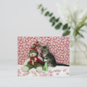 バンディットと雪だるま- Cat / Kitten Chrimas シーズンポストカード (スタンド正面)