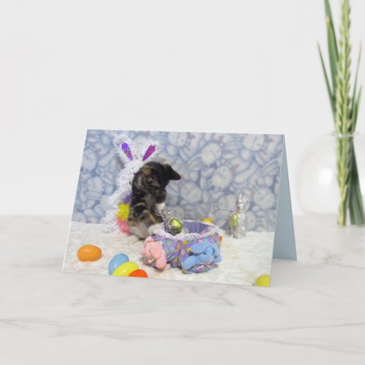 バンディットのイースターカード – Cat / Kitten Pic シーズンカード (正面)