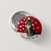 バンディットのバレンタインデーのボタン – かわいい猫 缶バッジ (正面&裏面)