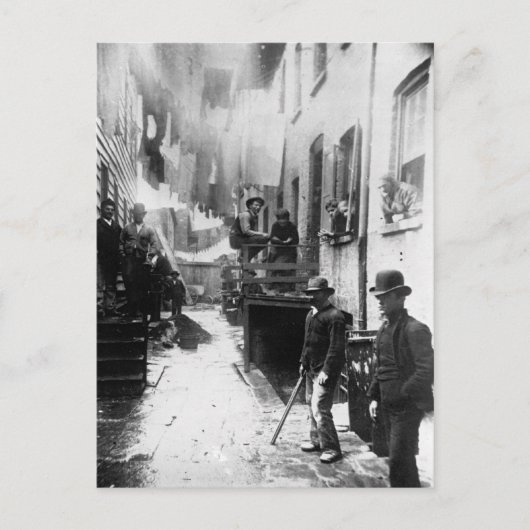 バンディットのルーストニューヨーク1888年 – ヴィンテージ写真 ポストカード (正面)
