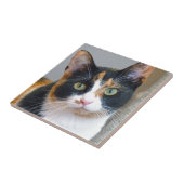 バンディット タイル (側面)