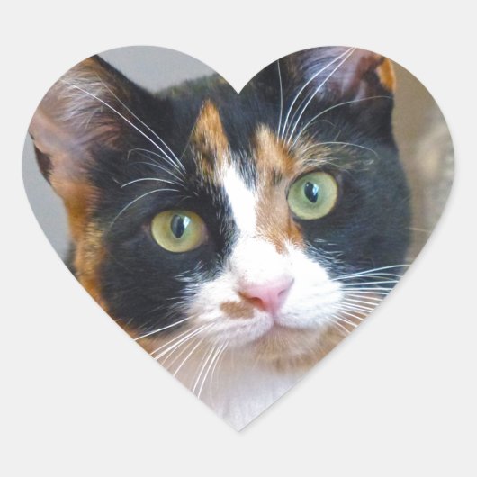 バンディット ハートシール (正面)