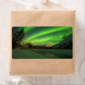 バンデッドオーロラ ラベル (インサイチュ)